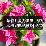 最新!风力发电、移动式储能电站等5个大项目投用(图3) 最新!风力发电、移动式储能电站等5个大项目投用(图3)