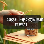 20亿!上市公司钠电项目签约!(图2) 20亿!上市公司钠电项目签约!(图2)