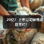 20亿!上市公司钠电项目签约!(图4) 20亿!上市公司钠电项目签约!(图4)