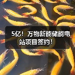 5亿!万物新能储能电站项目签约!(图3) 5亿!万物新能储能电站项目签约!(图3)