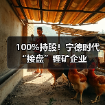 100%持股!宁德时代“接盘”锂矿企业(图4) 100%持股!宁德时代“接盘”锂矿企业(图4)