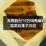海亮股份10万吨电解铜箔项目落子印尼(图4) 海亮股份10万吨电解铜箔项目落子印尼(图4)