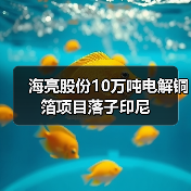 海亮股份10万吨电解铜箔项目落子印尼(图1) 海亮股份10万吨电解铜箔项目落子印尼(图1)