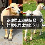 铁建重工业绩快报:海外营收同比增长512.04%(图2) 铁建重工业绩快报:海外营收同比增长512.04%(图2)