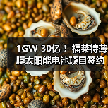 1GW 30亿 !福莱特薄膜太阳能电池项目签约(图2) 1GW 30亿 !福莱特薄膜太阳能电池项目签约(图2)