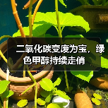 二氧化碳变废为宝,绿色甲醇持续走俏(图3) 二氧化碳变废为宝,绿色甲醇持续走俏(图3)