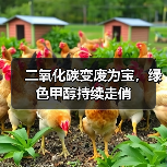 二氧化碳变废为宝,绿色甲醇持续走俏(图4) 二氧化碳变废为宝,绿色甲醇持续走俏(图4)