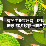 有关工业互联网、区块链等 50多项标准明日实施(图1) 有关工业互联网、区块链等 50多项标准明日实施(图1)