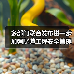 多部门联合发布进一步加强隧道工程安全管理指导意见(图4) 多部门联合发布进一步加强隧道工程安全管理指导意见(图4)