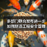 多部门联合发布进一步加强隧道工程安全管理指导意见(图3) 多部门联合发布进一步加强隧道工程安全管理指导意见(图3)