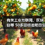 有关工业互联网、区块链等 50多项标准明日实施(图4) 有关工业互联网、区块链等 50多项标准明日实施(图4)