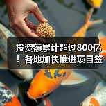 投资额累计超过800亿!各地加快推进项目签约落地(图1) 投资额累计超过800亿!各地加快推进项目签约落地(图1)