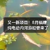 又一新项目!8月福建纯电动内河游船要来了(图4) 又一新项目!8月福建纯电动内河游船要来了(图4)