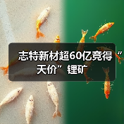志特新材超60亿竞得“天价”锂矿（图2）