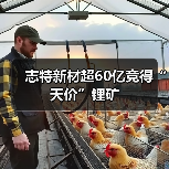 志特新材超60亿竞得“天价”锂矿（图3）