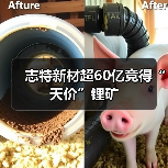 志特新材超60亿竞得“天价”锂矿（图1）