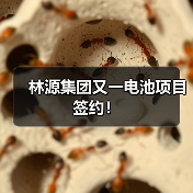 林源集团又一电池项目签约!(图2) 林源集团又一电池项目签约!(图2)