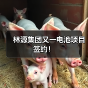 林源集团又一电池项目签约!(图1) 林源集团又一电池项目签约!(图1)