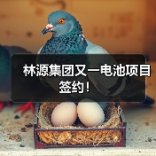 林源集团又一电池项目签约!(图3) 林源集团又一电池项目签约!(图3)