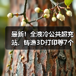 最新!全液冷公共超充站、铸造3D打印等7个项目投运(图3) 最新!全液冷公共超充站、铸造3D打印等7个项目投运(图3)