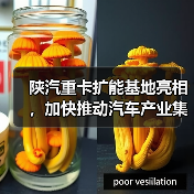 陕汽重卡扩能基地亮相,加快推动汽车产业集群化发展(图4) 陕汽重卡扩能基地亮相,加快推动汽车产业集群化发展(图4)