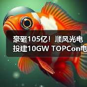 豪砸105亿!顺风光电投建10GW TOPCon电池项目(图3) 豪砸105亿!顺风光电投建10GW TOPCon电池项目(图3)