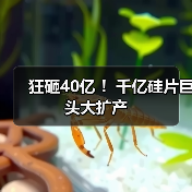 狂砸40亿 !千亿硅片巨头大扩产(图3) 狂砸40亿 !千亿硅片巨头大扩产(图3)