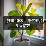 狂砸40亿 !千亿硅片巨头大扩产(图2) 狂砸40亿 !千亿硅片巨头大扩产(图2)