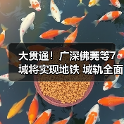 大贯通!广深佛莞等7城将实现地铁 城轨全面连通(图4) 大贯通!广深佛莞等7城将实现地铁 城轨全面连通(图4)