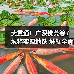 大贯通!广深佛莞等7城将实现地铁 城轨全面连通(图3) 大贯通!广深佛莞等7城将实现地铁 城轨全面连通(图3)