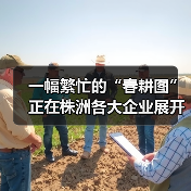 一幅繁忙的“春耕图”正在株洲各大企业展开!(图3) 一幅繁忙的“春耕图”正在株洲各大企业展开!(图3)