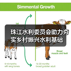 珠江水利委员会助力夯实乡村振兴水利基础(图4) 珠江水利委员会助力夯实乡村振兴水利基础(图4)