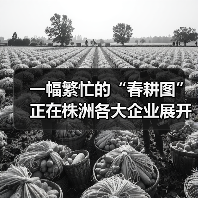 一幅繁忙的“春耕图”正在株洲各大企业展开!(图2) 一幅繁忙的“春耕图”正在株洲各大企业展开!(图2)