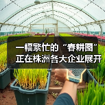 一幅繁忙的“春耕图”正在株洲各大企业展开!(图1) 一幅繁忙的“春耕图”正在株洲各大企业展开!(图1)