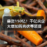 募资150亿!千亿央企大举加码光伏等项目(图3) 募资150亿!千亿央企大举加码光伏等项目(图3)