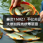 募资150亿!千亿央企大举加码光伏等项目(图2) 募资150亿!千亿央企大举加码光伏等项目(图2)