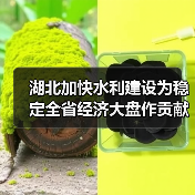 湖北加快水利建设为稳定全省经济大盘作贡献(图4) 湖北加快水利建设为稳定全省经济大盘作贡献(图4)