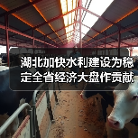 湖北加快水利建设为稳定全省经济大盘作贡献(图1) 湖北加快水利建设为稳定全省经济大盘作贡献(图1)