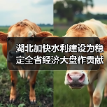湖北加快水利建设为稳定全省经济大盘作贡献(图3) 湖北加快水利建设为稳定全省经济大盘作贡献(图3)