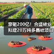 豪砸200亿！合盛硅业拟建20万吨多晶硅项目（图1）