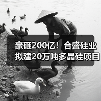 豪砸200亿！合盛硅业拟建20万吨多晶硅项目（图4）