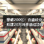 豪砸200亿！合盛硅业拟建20万吨多晶硅项目（图3）