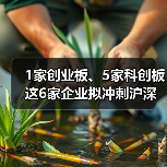 1家创业板、5家科创板 这6家企业拟冲刺沪深主板(图1) 1家创业板、5家科创板 这6家企业拟冲刺沪深主板(图1)