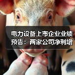 电力设备上市企业业绩预告:两家公司净利增长超340%(图1) 电力设备上市企业业绩预告:两家公司净利增长超340%(图1)