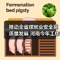 推动全省煤炭业安全高质量发展 河南今年工作要点发布(图1) 推动全省煤炭业安全高质量发展 河南今年工作要点发布(图1)