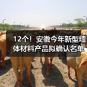12个!安徽今年新型墙体材料产品拟确认名单公布(图1) 12个!安徽今年新型墙体材料产品拟确认名单公布(图1)