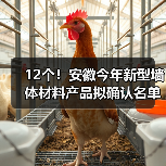 12个!安徽今年新型墙体材料产品拟确认名单公布(图3) 12个!安徽今年新型墙体材料产品拟确认名单公布(图3)