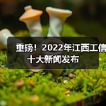 重磅！2022年江西工信十大新闻发布（图4）