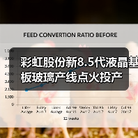 彩虹股份新8.5代液晶基板玻璃产线点火投产(图1) 彩虹股份新8.5代液晶基板玻璃产线点火投产(图1)