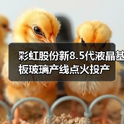 彩虹股份新8.5代液晶基板玻璃产线点火投产(图4) 彩虹股份新8.5代液晶基板玻璃产线点火投产(图4)